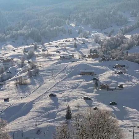 Chalet Burgstein, Studio Alpenrose *