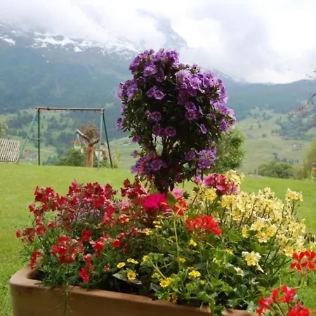 Chalet Burgstein, Studio Alpenrose Grindelwald