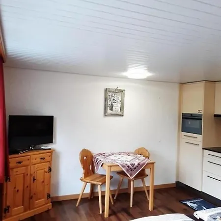 Chalet Burgstein, Studio Alpenrose Apartment Grindelwald
